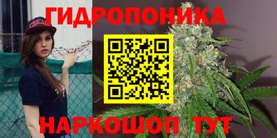 гидропоника Коммунар