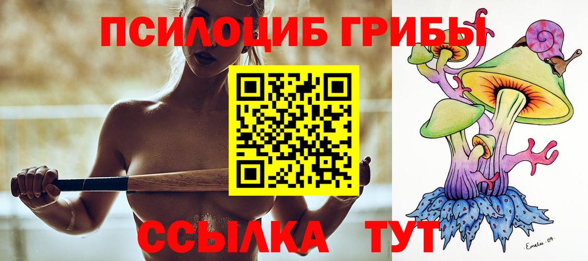 цена   Вход с VPN  Холмск  Псилоцибиновые грибы Psilocybine cubensis 